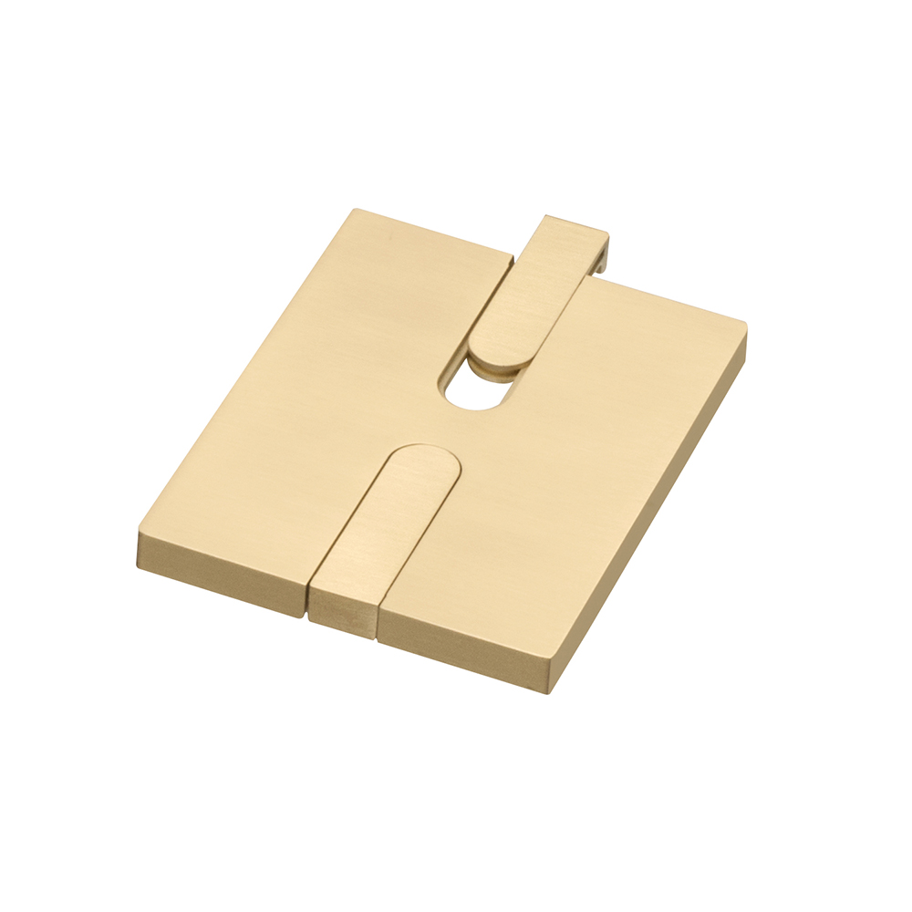 Plated Brass, single gang blank and slotted covers. Includes gasketed blank cover with mounting screws, single gang dual slotted in-use cover with removable tabs.