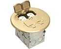 A combination floor box kit with installed low voltage divider. Includes four flip lids and gasket, One duplex receptacle and one low voltage duplex plate. Round Brass Cover.